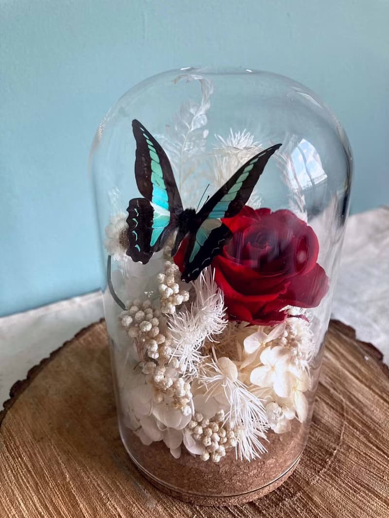 蝴蝶標本玻璃盅-青鳳凰/七夕情人節/乾燥花/生態瓶/鳳蝶/父親節