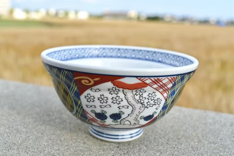 【經典日貨】日本 佐賀 有田 有田燒 陶瓷碗 飯碗 大碗 拉麵碗
