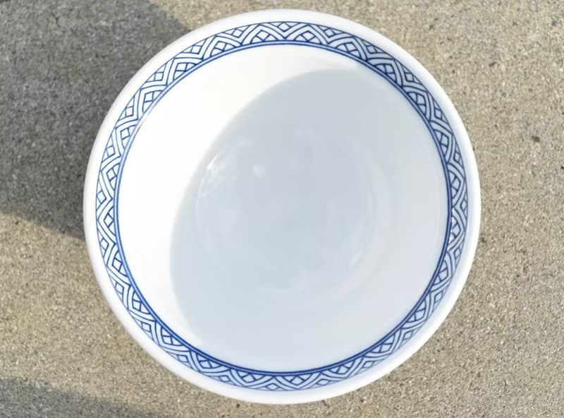 【經典日貨】日本 佐賀 有田 有田燒 陶瓷碗 飯碗 大碗 拉麵碗