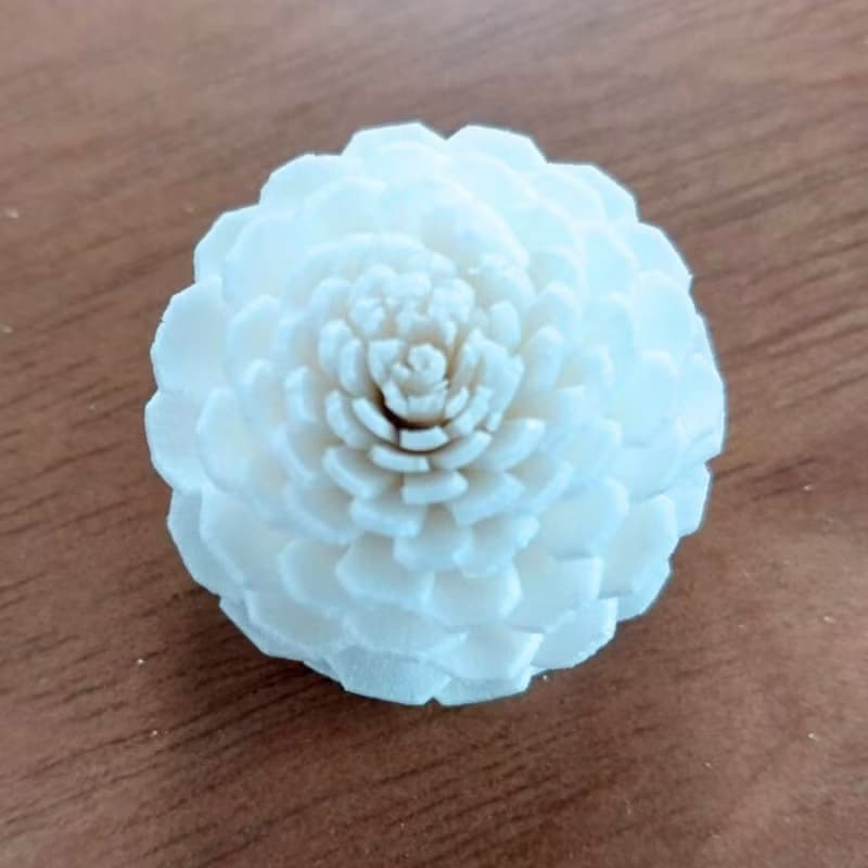 Jasmin Sola Flower 3 cm. 50 flowers.