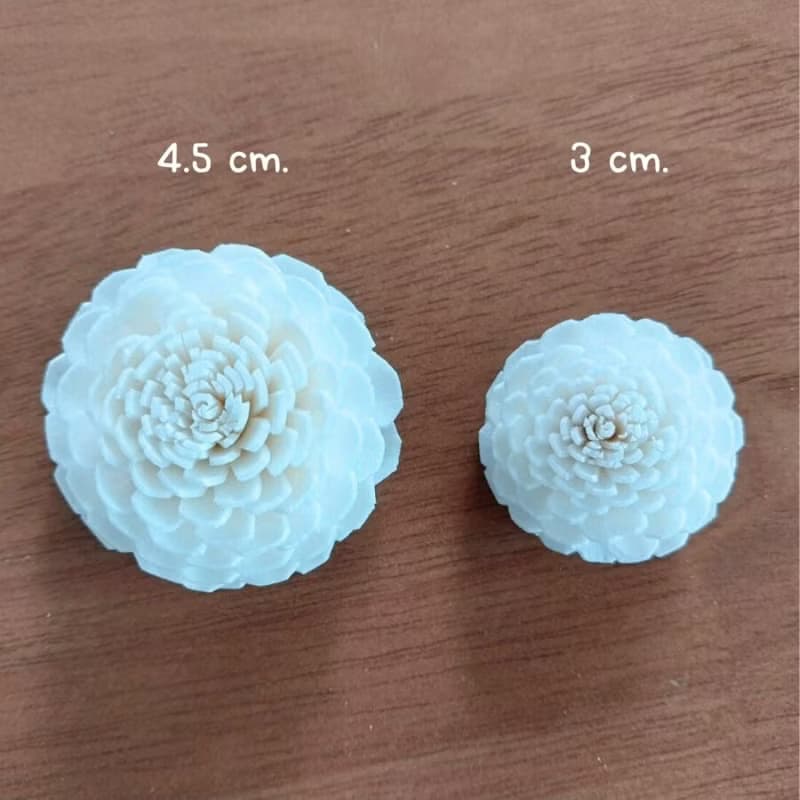 Jasmin Sola Flower 3 cm. 50 flowers.