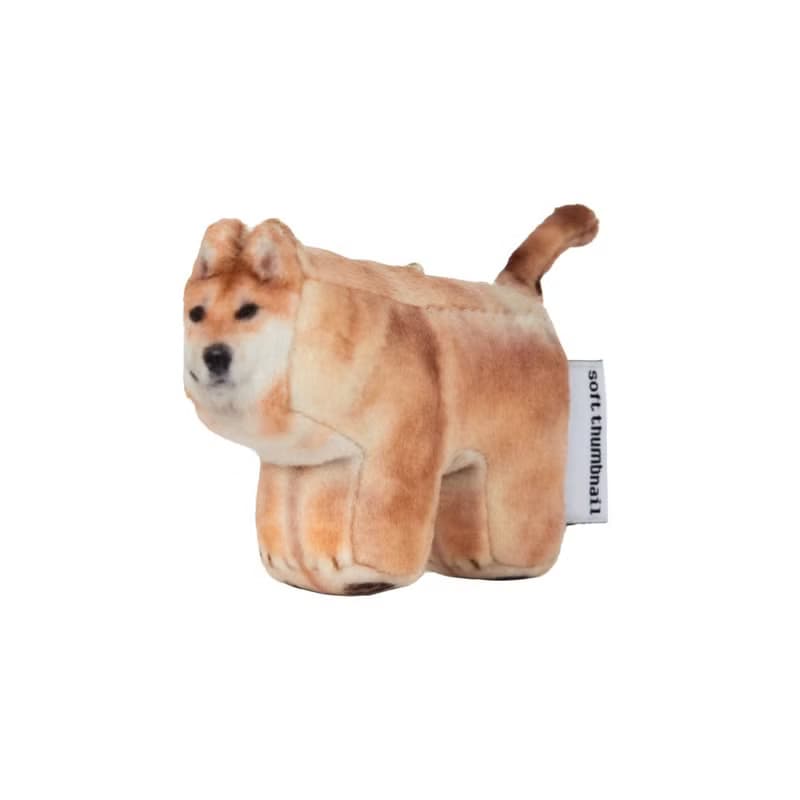 Guma, Shiba Inu