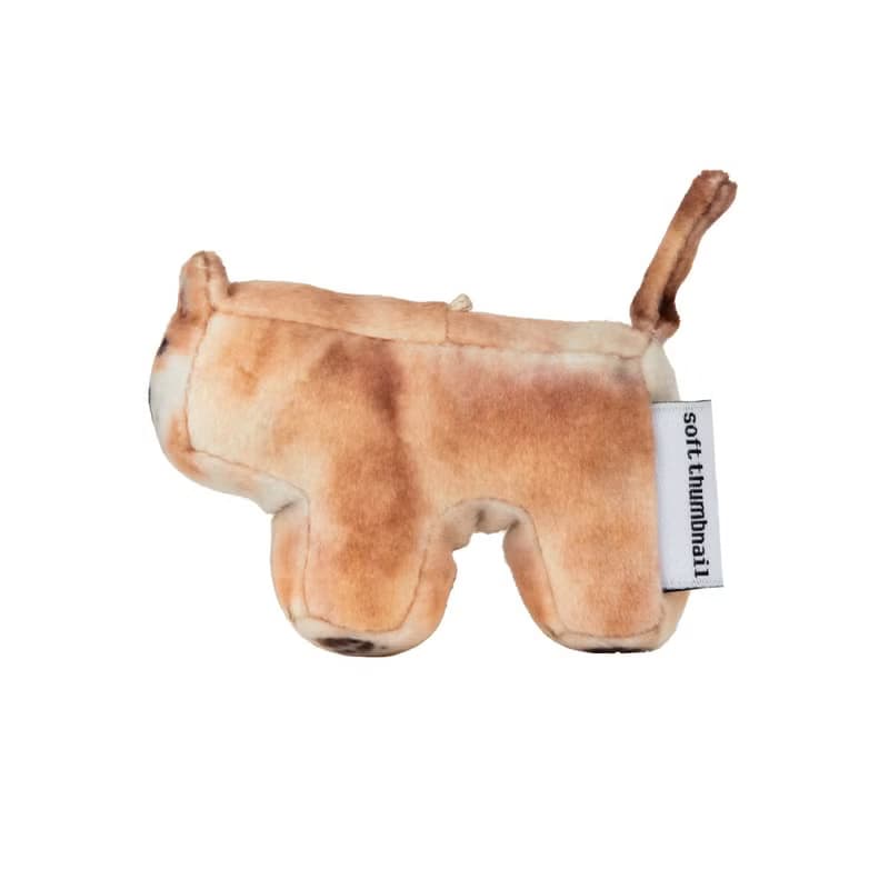 Guma, Shiba Inu