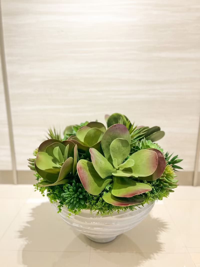 特級擬真唐印多肉植栽組合 免運專人配送限雙北市 其餘地區需補運