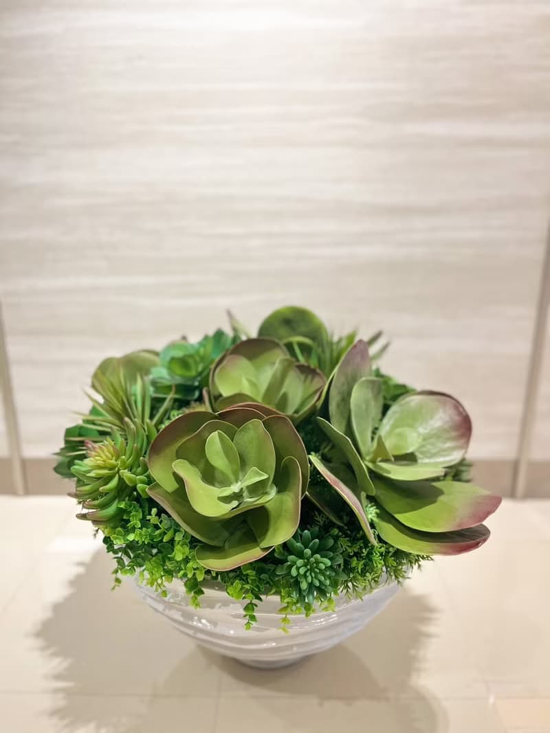 特級擬真唐印多肉植栽組合 免運專人配送限雙北市 其餘地區需補運