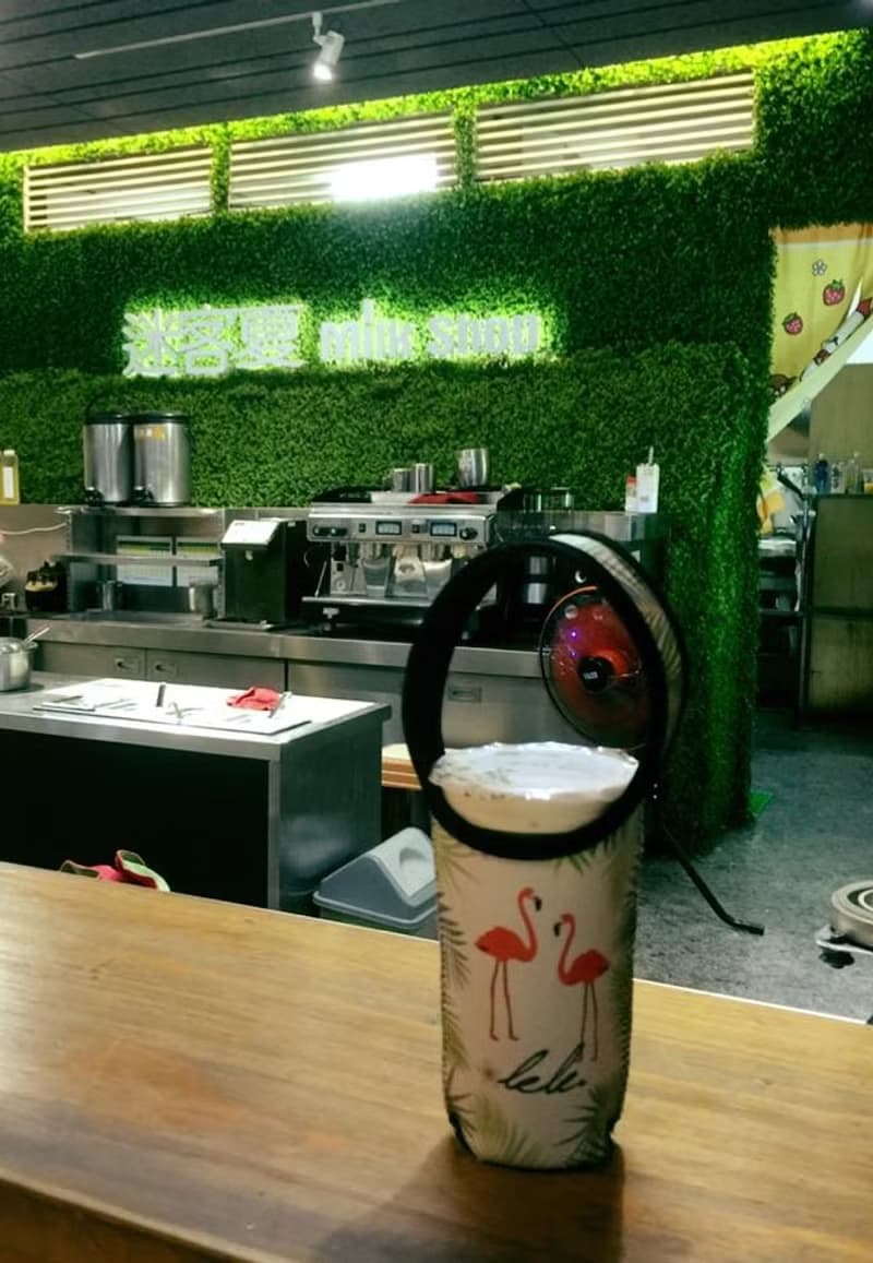 BLR 環保飲料提袋 保冰保溫 張寧 聯名款 植物 Ti 03