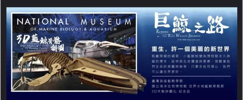 3D藍鯨骨骼拼圖