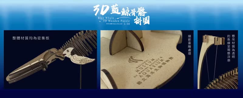 3D藍鯨骨骼拼圖