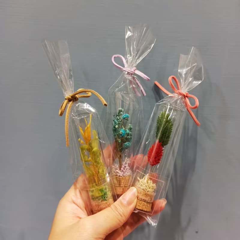 婚禮小物 植物標本  畢業小禮 試管花 禮物   二次進場