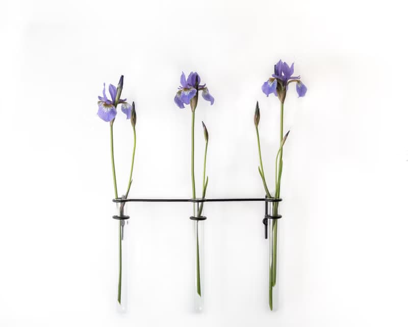 Minimalist metal wire Wall flower vase // Simple wire wall vase holder