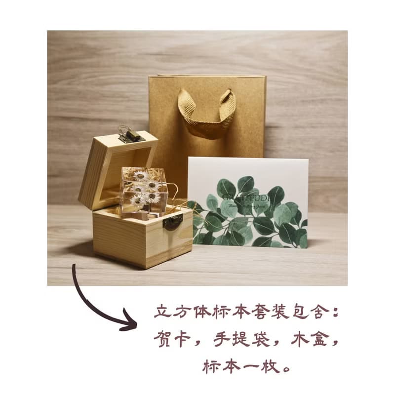 幸運草標本/真實的四葉草