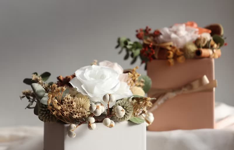 | 白衣天使 | 永生花 x 乾燥花 盆花 花藝 送禮 (附乾燥花小卡)