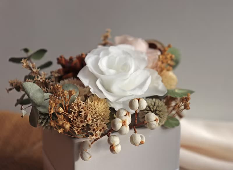 | 白衣天使 | 永生花 x 乾燥花 盆花 花藝 送禮 (附乾燥花小卡)