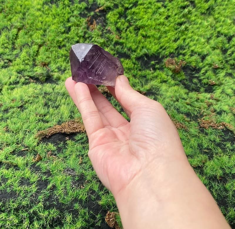 天然紫晶骨幹 紫水晶 招財 智慧 開運 快速出貨 辦公室擺件