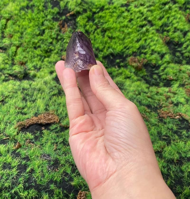 天然紫晶骨幹 紫水晶 招財 智慧 開運 快速出貨 辦公室擺件