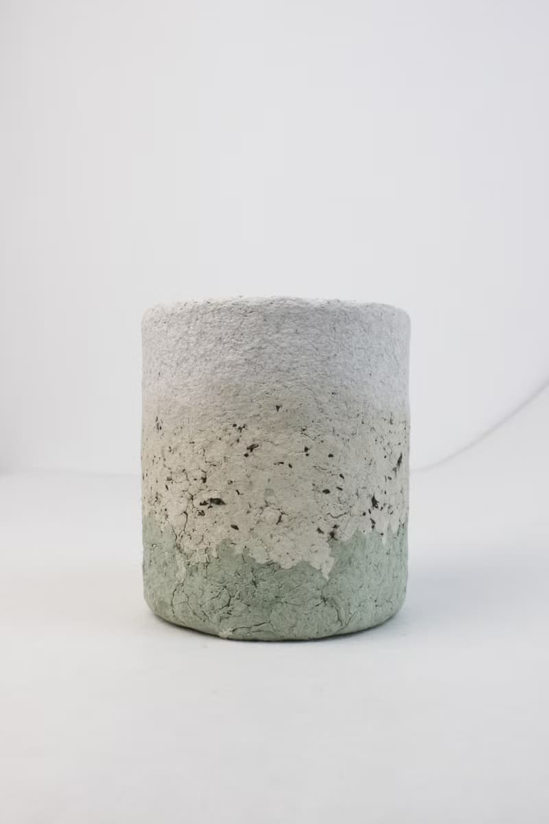 乾燥霓花盆－泡沫綠茶