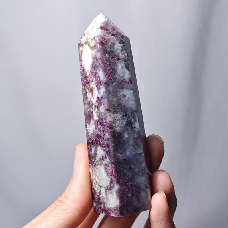 稀有梅花碧璽 踏雪尋梅 一柱擎天 中流砥柱 招財 晶柱 單品 禮物
