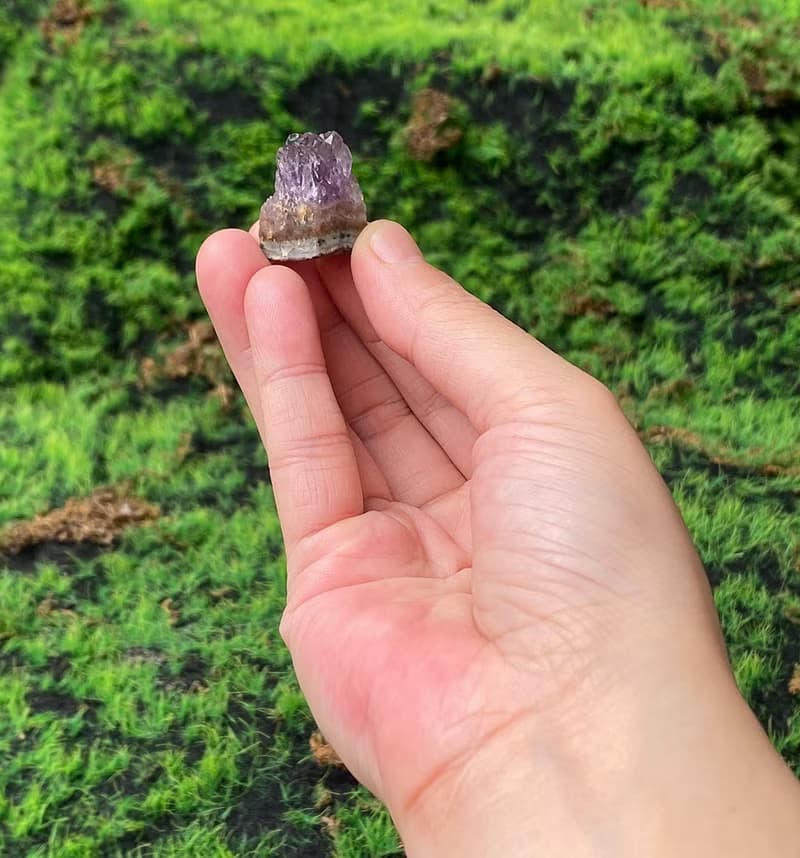 能量擺飾-天然原礦可愛紫晶簇 黑碧璽套組 招財保平安 快速出貨