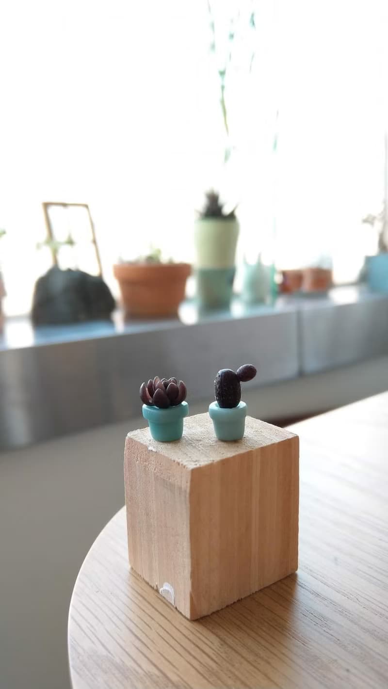 【體驗】一人成班 多肉小盆栽 黃銅 純銀 DIY 體驗活動