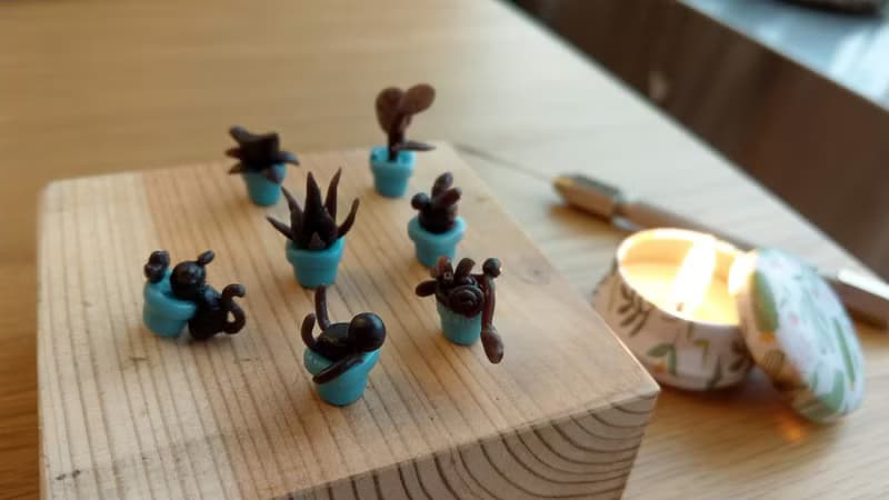 【體驗】一人成班 多肉小盆栽 黃銅 純銀 DIY 體驗活動