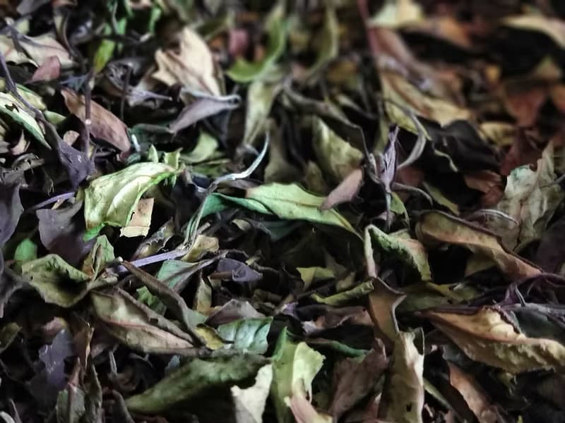 偶來一杯 餘白   生態農法白茶  75g