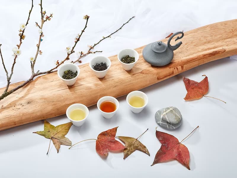 環保補充包 梨山黑森林霞光171頂級紅茶, 75克