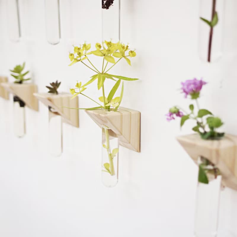 實木壁掛玻璃水耕瓶-隨機附贈植物
