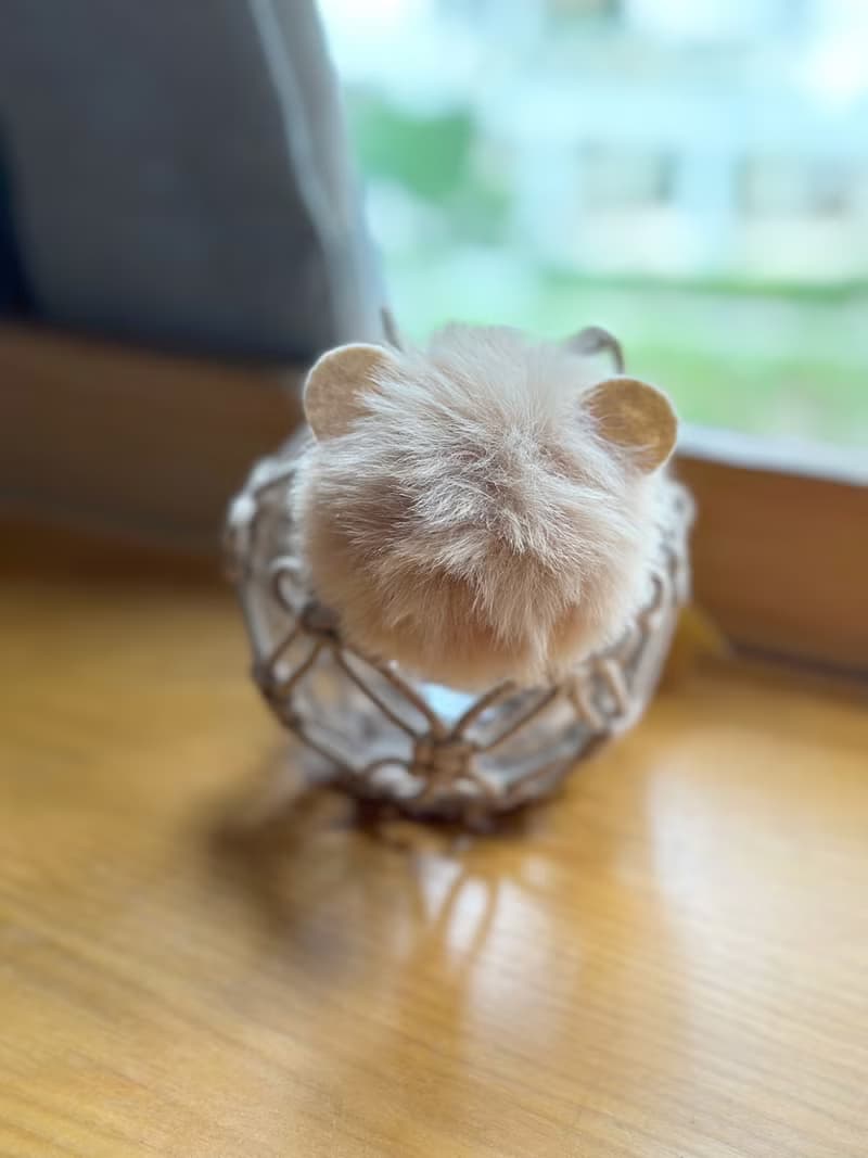 macrame 編織小熊燈籠