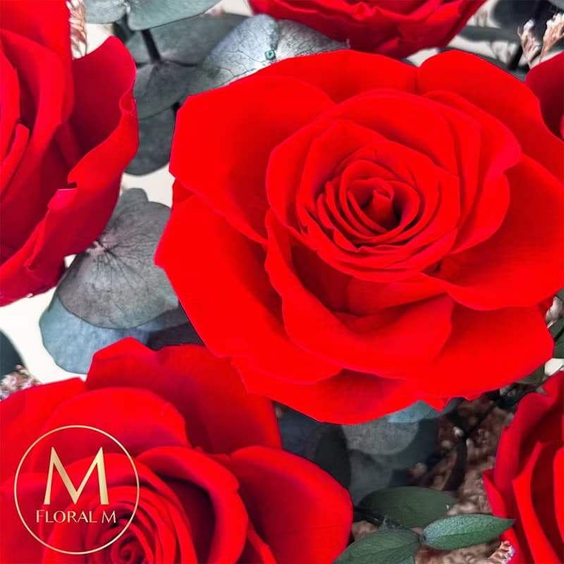 午夜巴塞隆納永生玫瑰花束