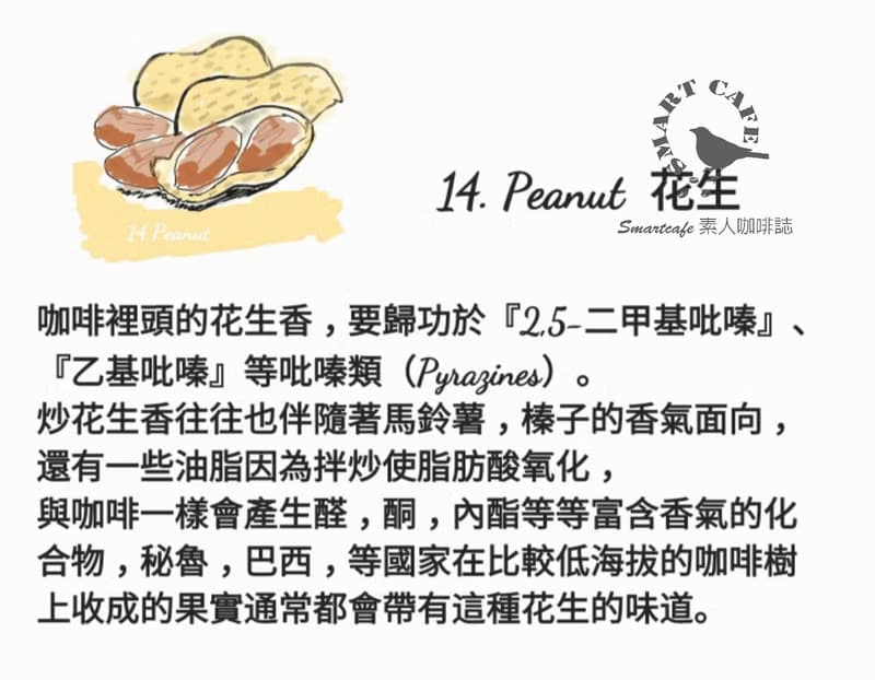 原創Smartcafe20味咖啡聞香練習瓶 手沖咖啡工具 台灣原創