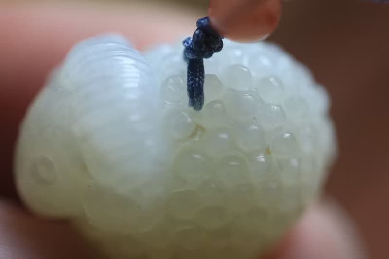 【小羊】-肖恩 和田玉生肖小綿羊吊墜 男女款玉石玉珮掛件玉墜
