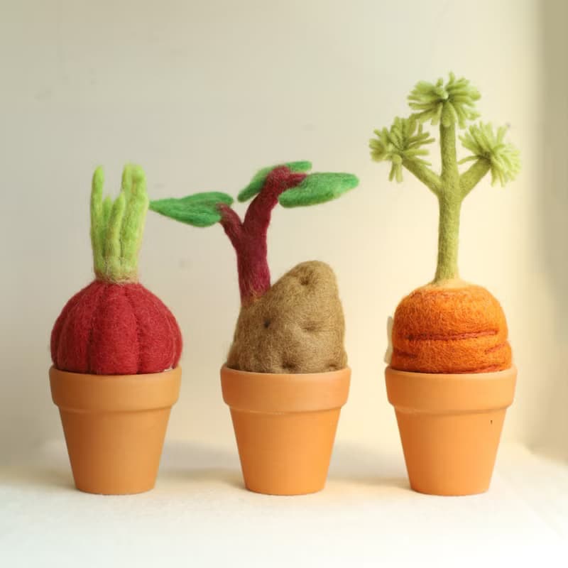 羊毛出在羊山上 羊毛氈  發芽系列 植栽 小盆栽 室內植物 洋蔥