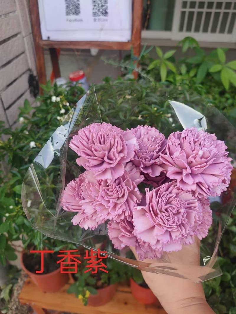 Lingling's Studio母親節小資款花束/母親節康乃馨乾燥小花束