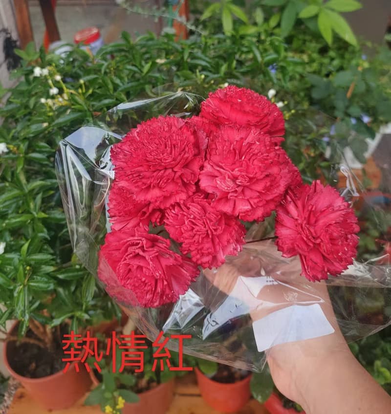 Lingling's Studio母親節小資款花束/母親節康乃馨乾燥小花束