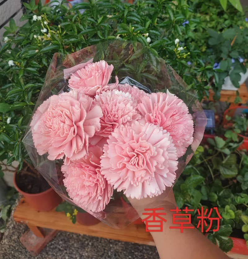 Lingling's Studio母親節小資款花束/母親節康乃馨乾燥小花束