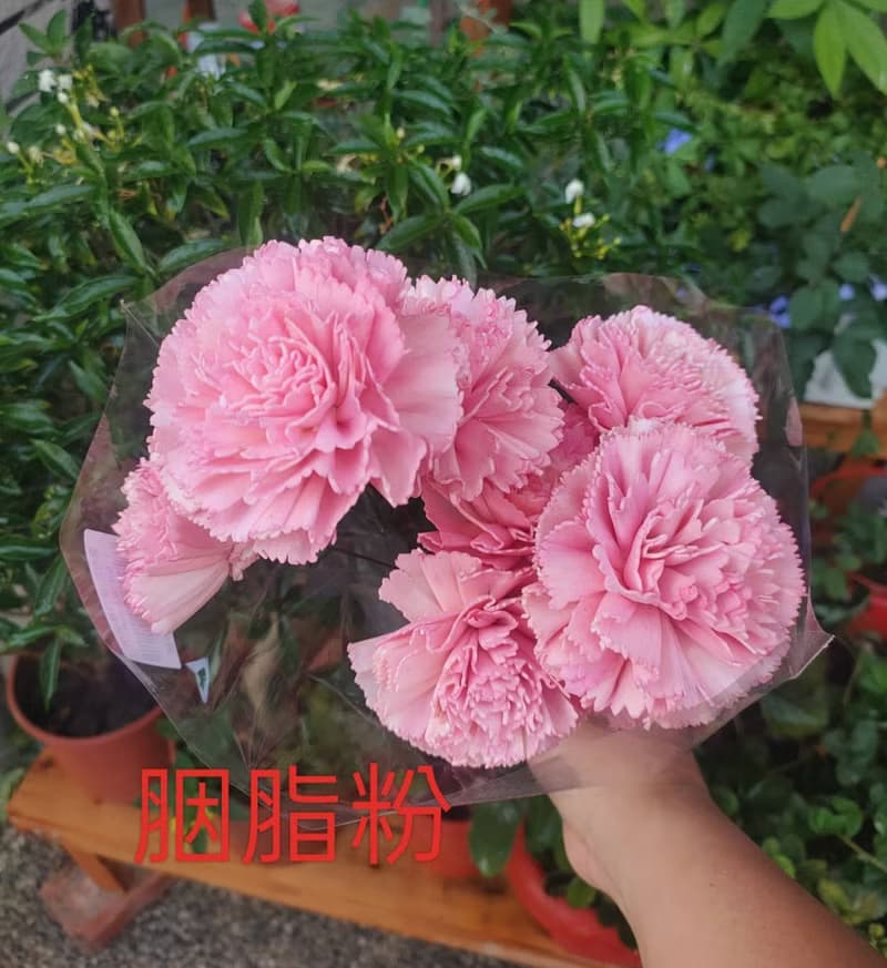 Lingling's Studio母親節小資款花束/母親節康乃馨乾燥小花束