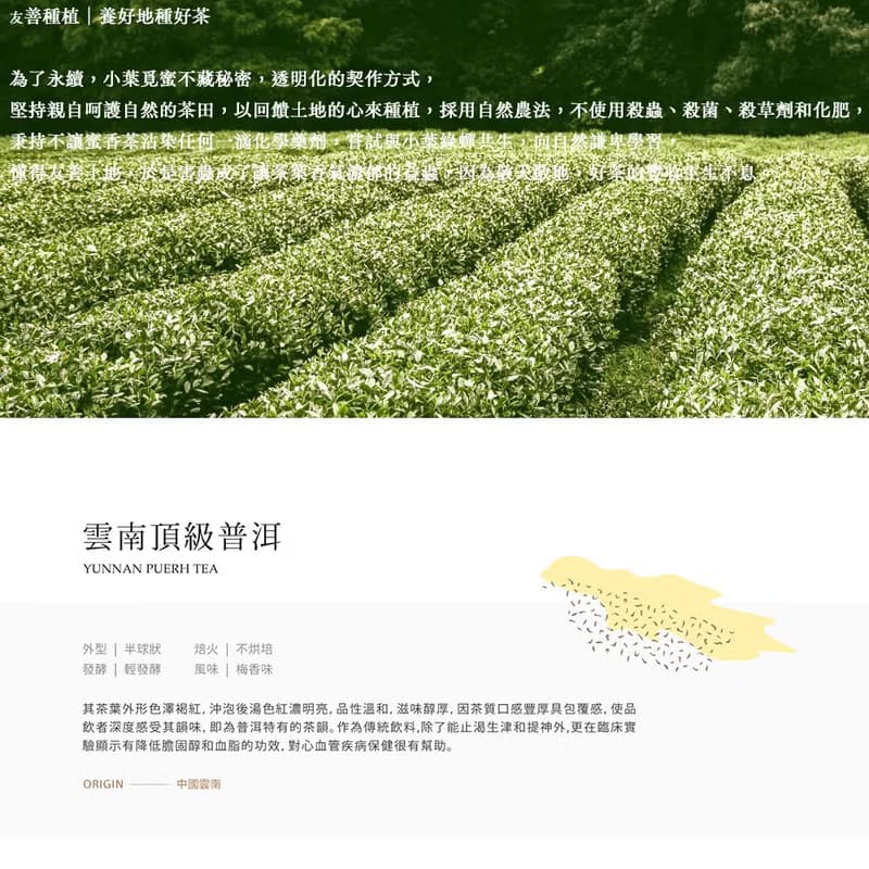 【快速出貨】雲南南糯山-95年頂級單欉野生普洱生茶 散茶NO.5208