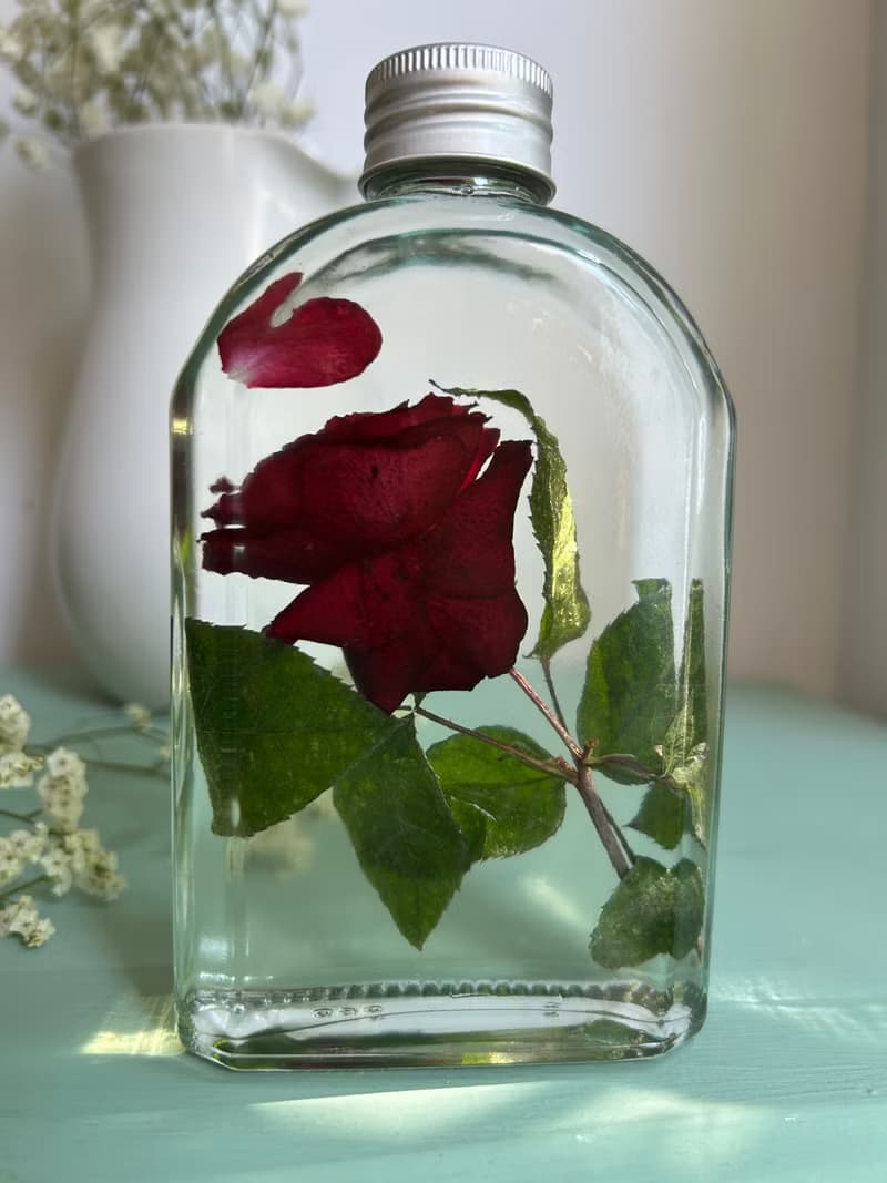 Red rose in oil