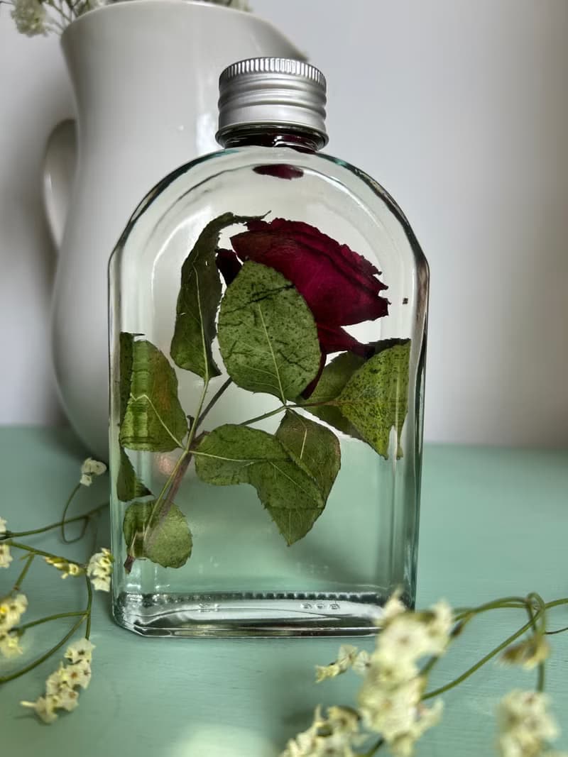 Red rose in oil