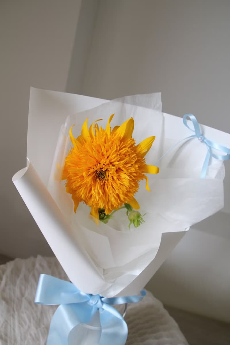 單朵泰迪熊向日葵 鮮花花束 畢業花束