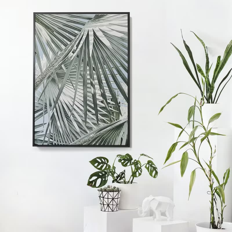 微光棕櫚－畫/哪裡買畫/旅店掛畫/客廳/植物/北歐/複製畫
