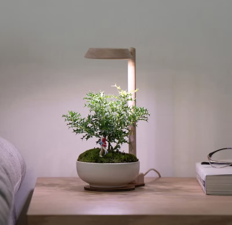 【全光譜 植物燈】不含植物 擬太陽光 圓檯植物燈一般款 | 蒔光