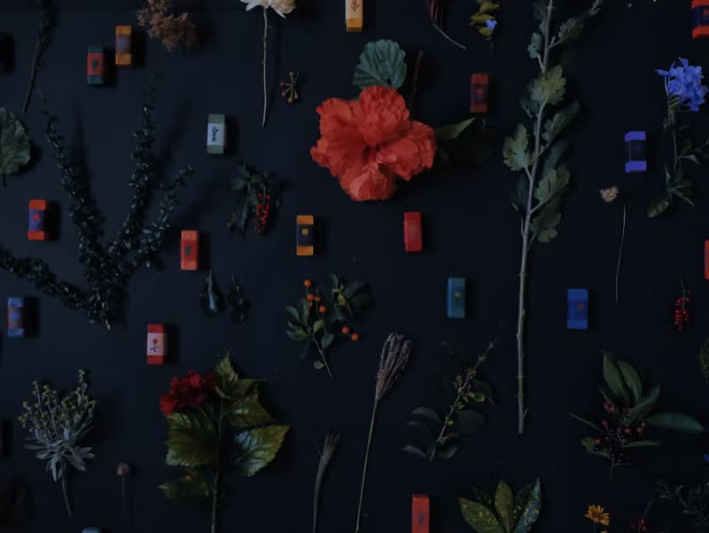 手工蠟筆—情人節禮物/植物語彙3支組