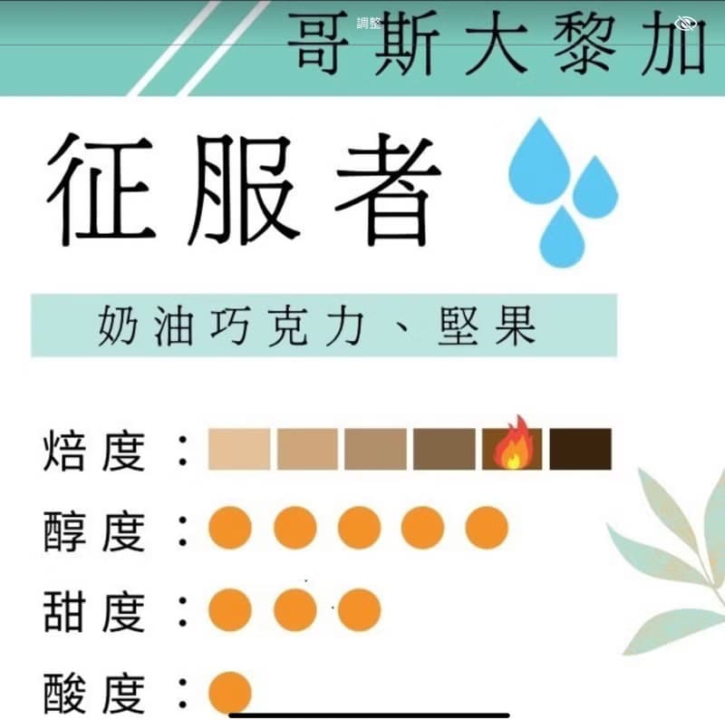 鑠咖啡 哥斯大黎加 征服者 中深焙 水洗 濾掛式咖啡 耳掛