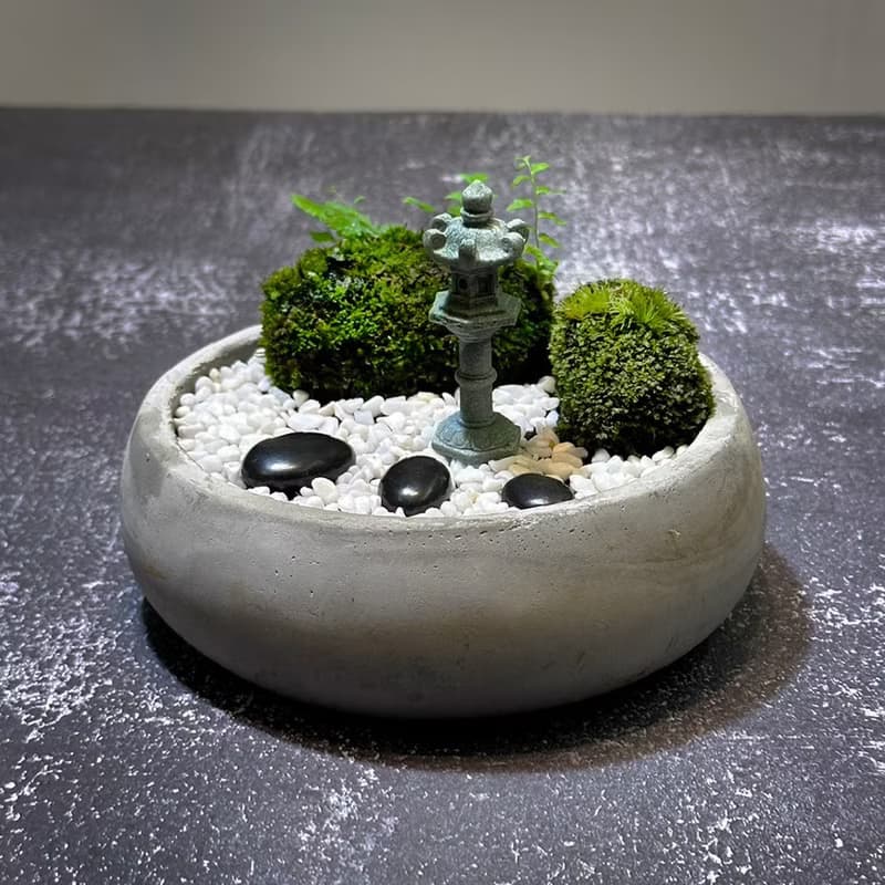 自然苔玉美學 –晚燈