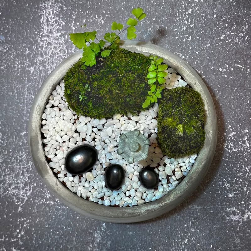 自然苔玉美學 –晚燈
