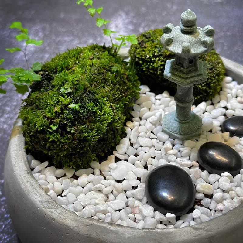 自然苔玉美學 –晚燈