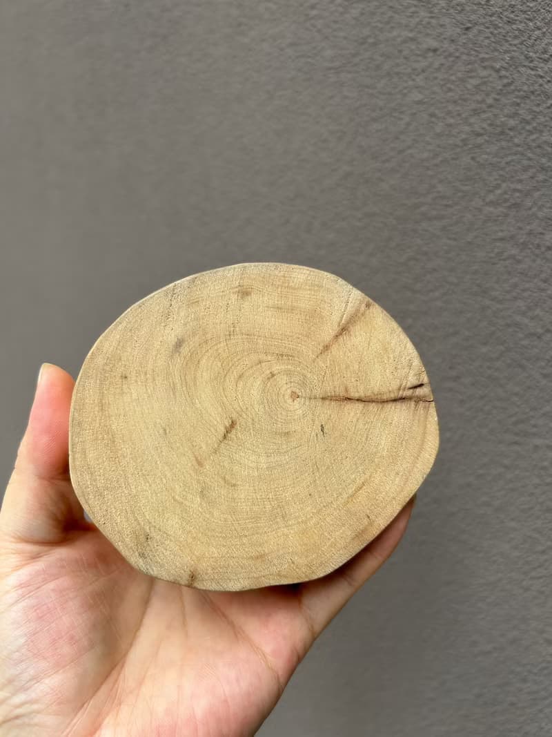 壹染指原創 | 楨楠 招財貓 | 一物一圖 招財納福添喜氣