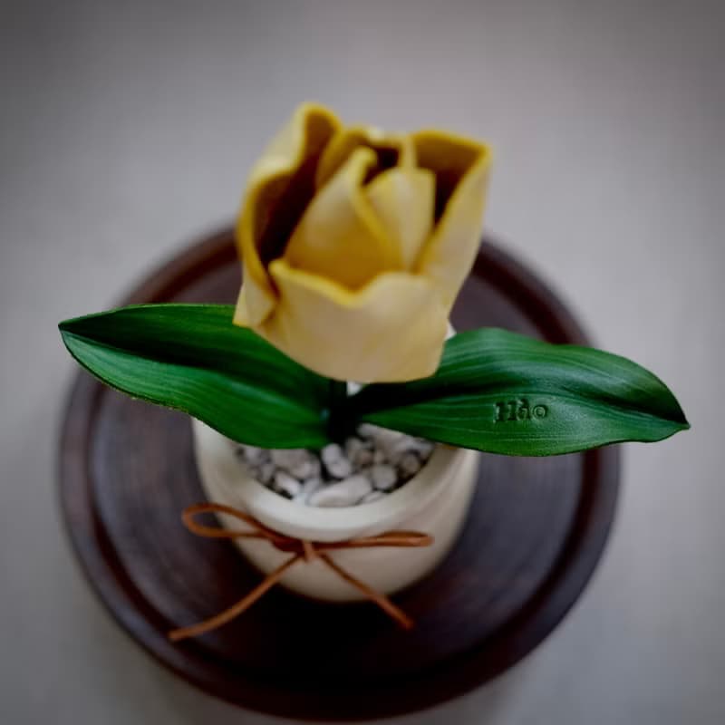 鬰金香皮革盆栽 送禮