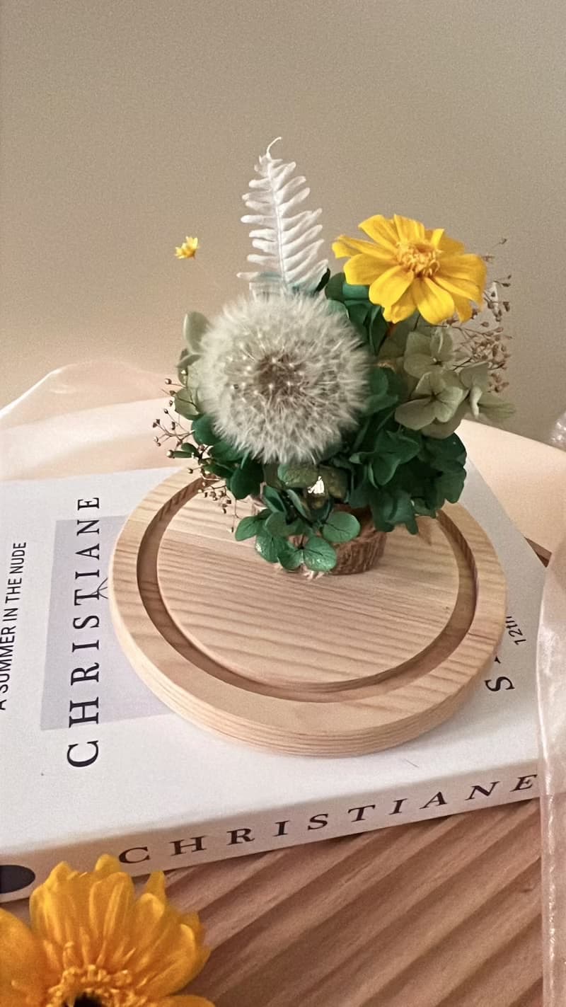 永生花不凋花蒲公英盅罩 聖誕節 交換禮物 送禮 開幕